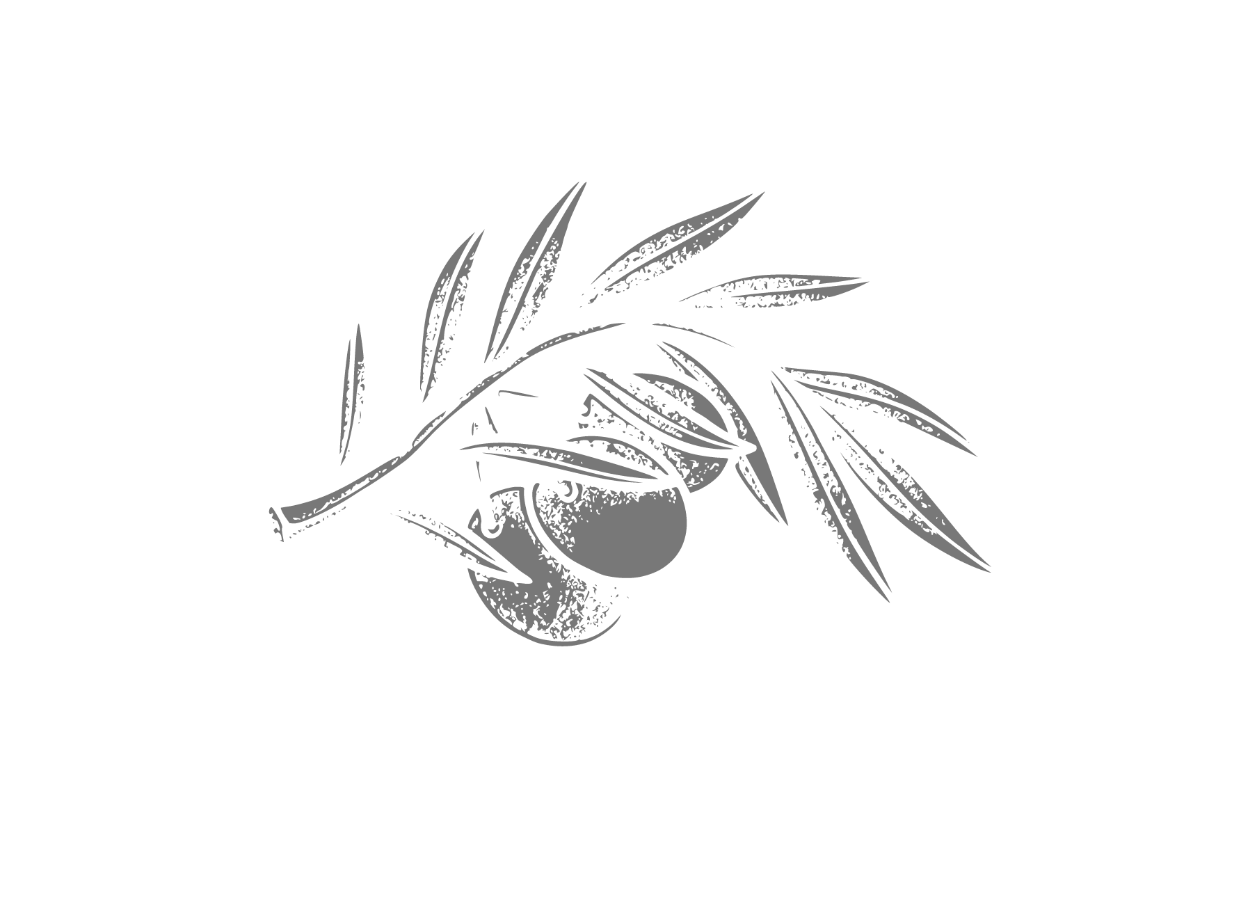 Logo_oleificio_Putignano
